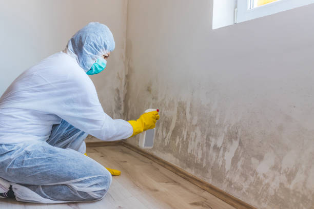 Bathroom Mold Removal assessment in Wilson bathroom