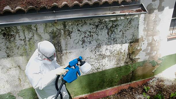 Mold Remediation service in Wilson, Wilson, NC